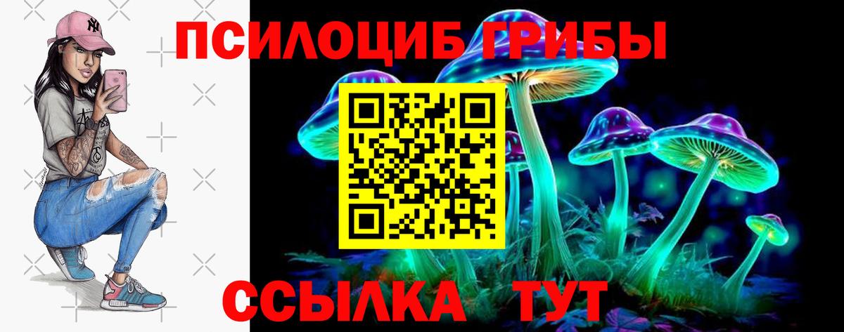 Екатеринбург  Галлюциногенные грибы Psilocybe  Вход с VPN 