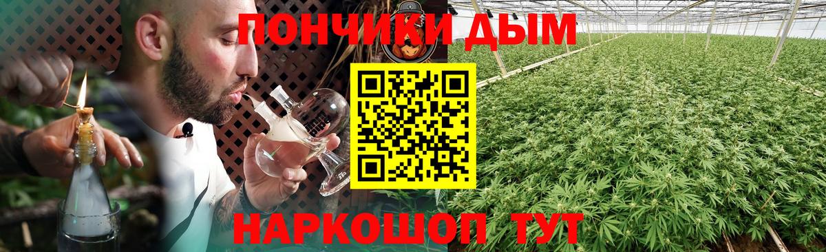 Канабис планчик Екатеринбург